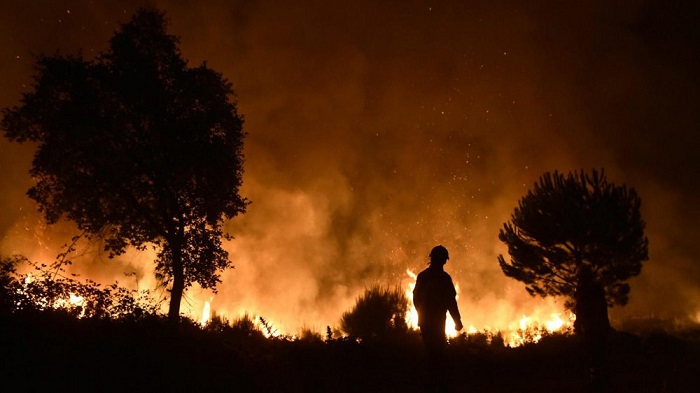 Waldbränden auf Madeira: drei Tote