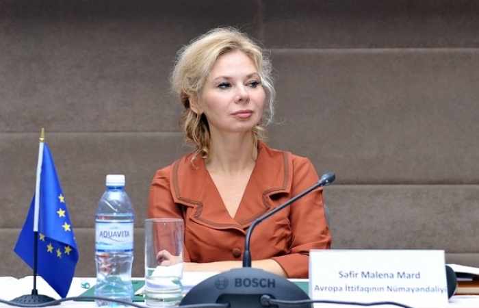 Malena Mard: Preparation works underway for EU-Azerbaijan business forum