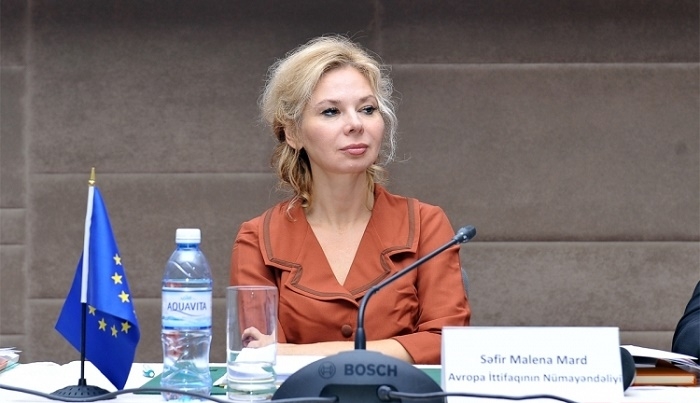 EU will continue to support reforms in Azerbaijan - Malena Mard
