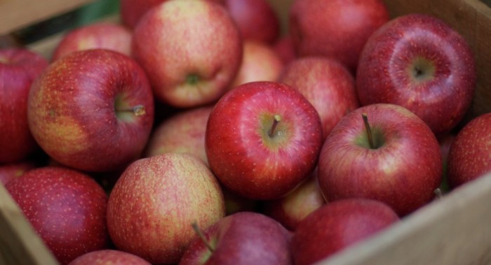Suecia rechaza las manzanas polacas 