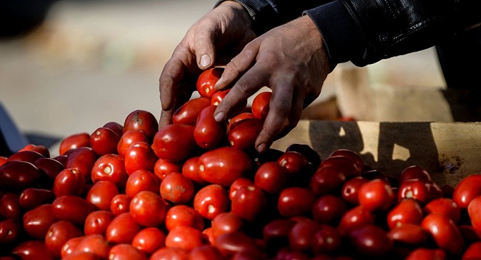 L`Ukraine cherche de nouveaux marchés pour ses denrées 