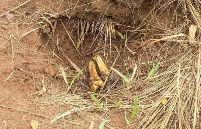 U.N. discovers 17 new mass graves in central Congo
