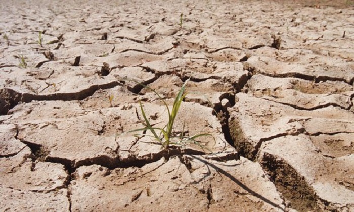 Madagascar drought: catastrophe looms as 850,000 go hungry, says UN 