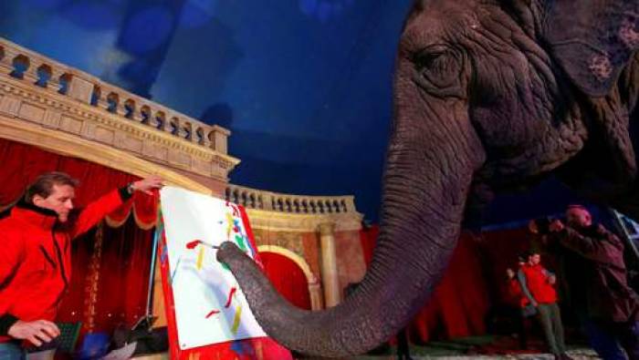 L'Irlande interdit l'emploi d'animaux sauvages dans les cirques