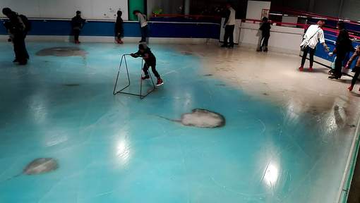 Une patinoire avec vue sur 5.000 poissons congelés crée la polémique au Japon