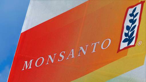 Le soja OGM de Monsanto commercialisé en Europe