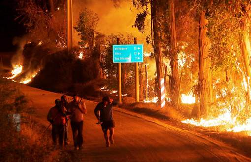 Près de 90.000 hectares de forêt ravagés au Chili