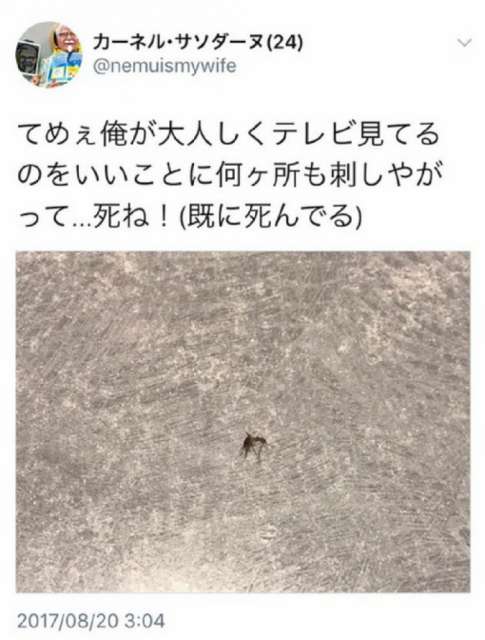 Twitter bannit un utilisateur pour une photo de moustique écrasé