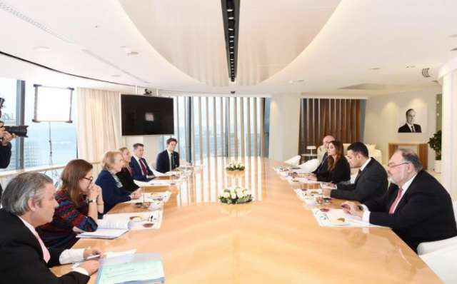 First VP Mehriban Aliyeva meets with UK Minister of State for Trade and Export Promotion
