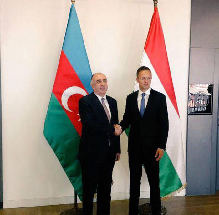 Le chef de la diplomatie azerbaïdjanaise rencontre son homologue hongrois