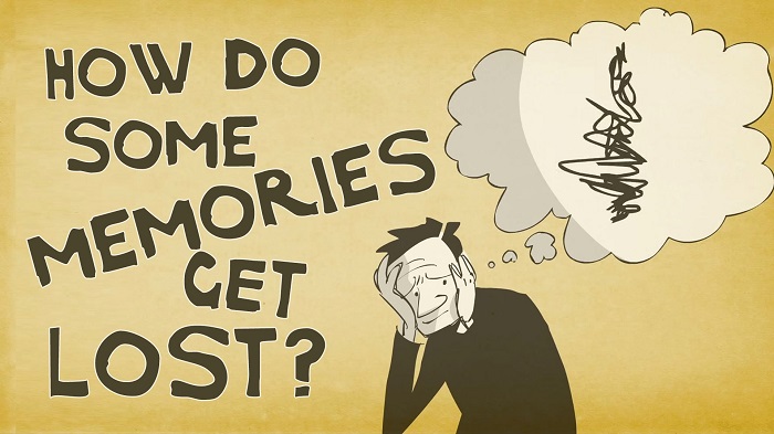 How memories form and how we lose them - VIDEO 