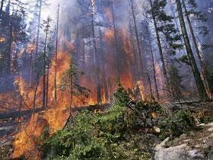 Shahdagh national park on fire