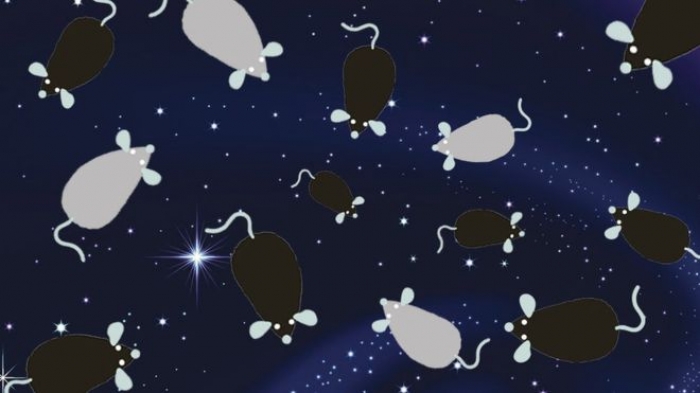 Frozen 'space sperm' passes fertility test