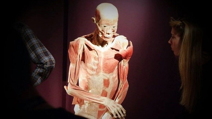 A Milan, une exposition de véritables cadavres humains crée la controverse