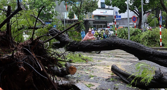 La tempête Mirinae frappe le nord du Vietnam, des victimes