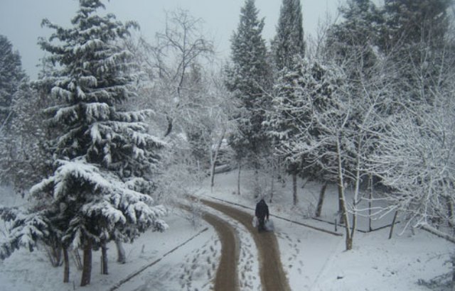 Sabah qar yağacaq - Hava proqnozu