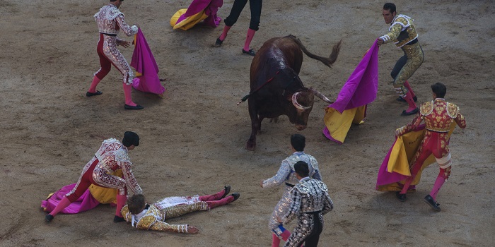 Un torero meurt encorné en Espagne