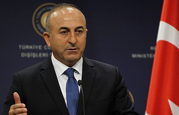 Cavusoglu accused Germany of favoring no campaign