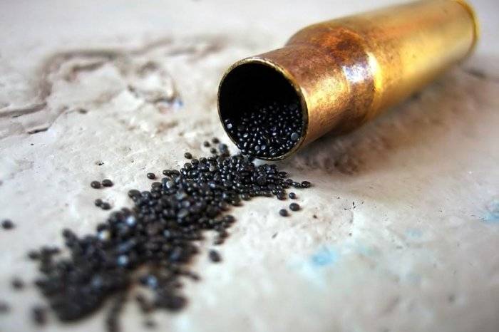 Explosion dans une usine de poudre en Pologne: deux disparus, 17 blessés