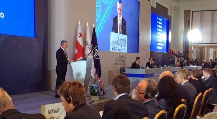NATO PA adopts declaration supporting Georgia's Euro-Atlantic integration