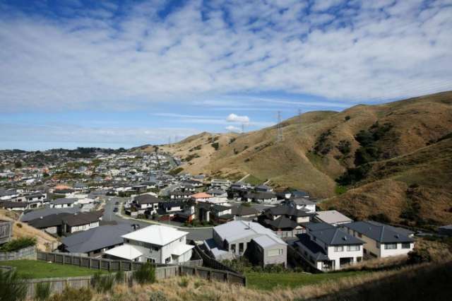 New Zealand bans foreigners from buying homes