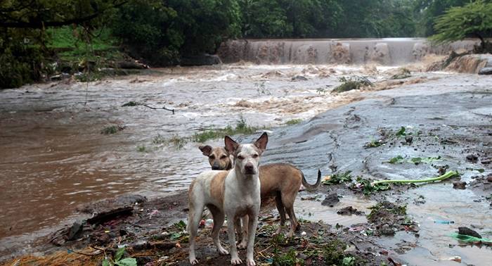 Siete muertos y seis desaparecidos por tormenta tropical Nate en Nicaragua