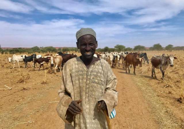 Why Niger and Mali's cattle herders turned to jihad