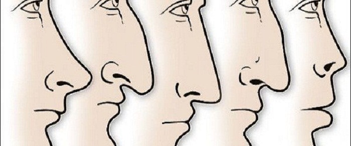 Shape of your nose tells a lot about your personality
