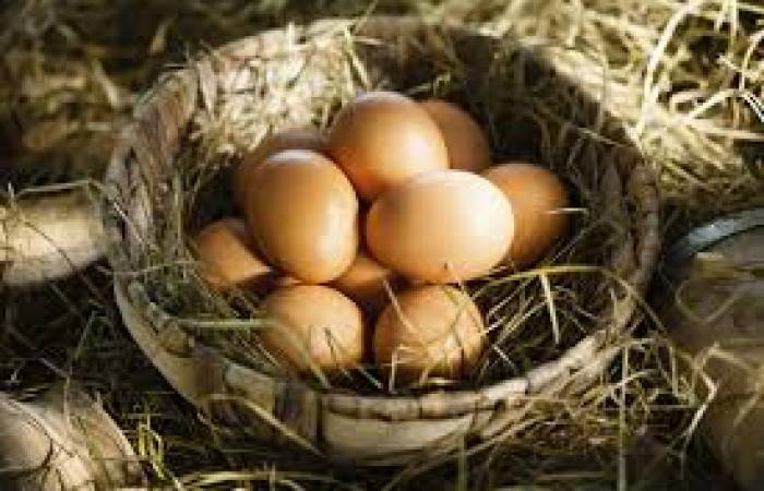 Les œufs sont-ils dangereux pour la santé ?
