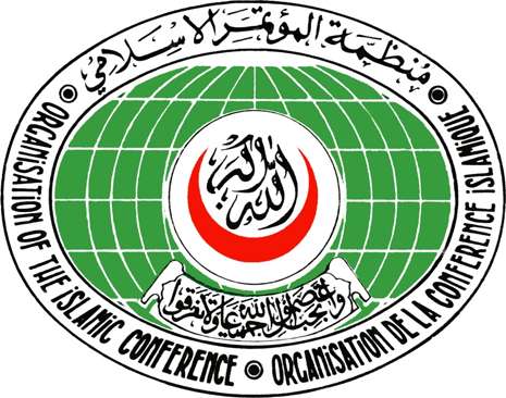 Azerbaijan`s role in OIC hailed