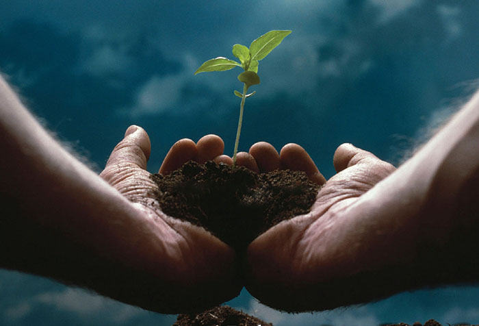 Entrepreneurship in Azerbaijan is in a safe hands