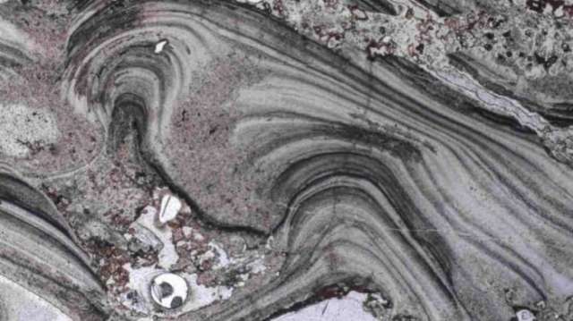 Scientists may have discovered the oldest evidence of life on land