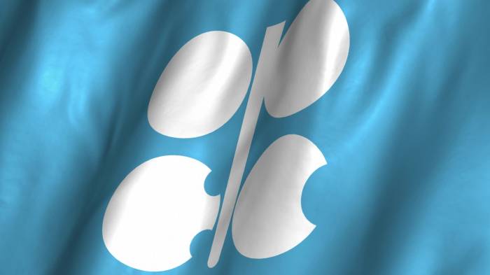 Opec-Generalsekretär fordert von USA Beteiligung an Öl-Drosselung