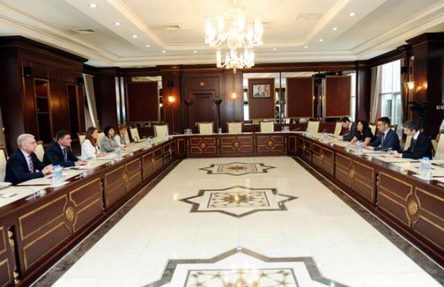 OSCE PA Special Representative visits Milli Majlis
