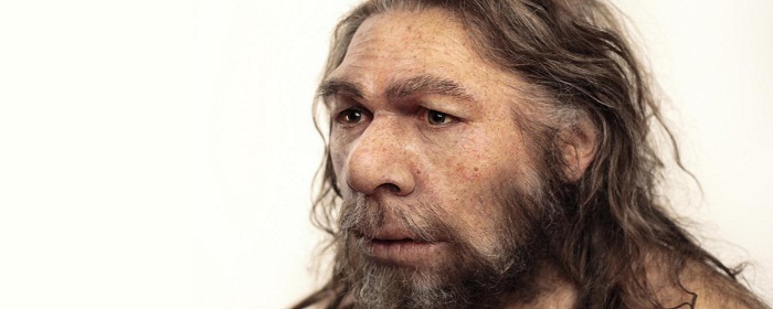 What did the Neanderthals do for us? 