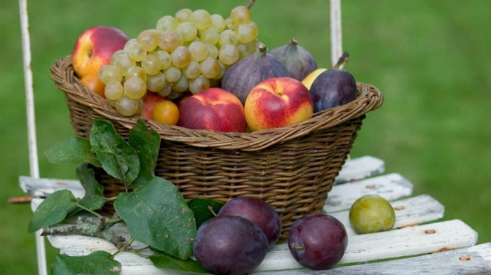 Quel est le fruit le plus riche en sucre?