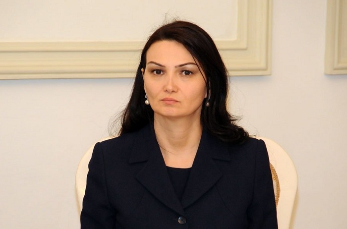 Azerbaijani MP makes call on recent Armenian provocation in Azerbaijan’s Tovuz 
