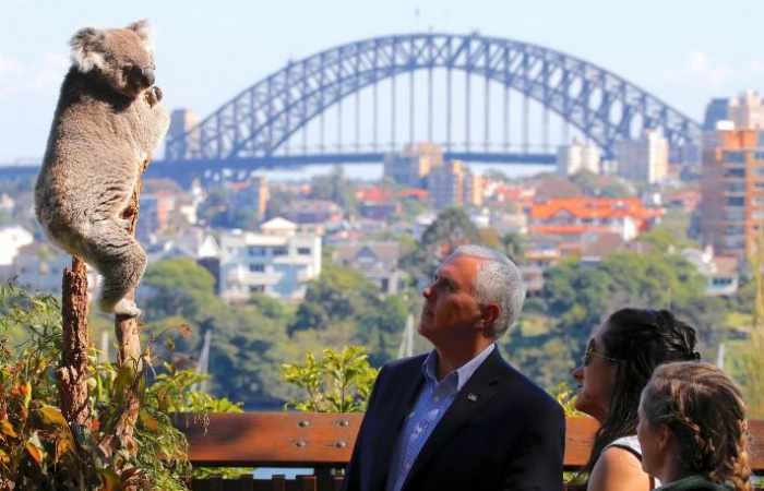 Pence tries hand at koala diplomacy Down Under