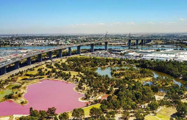 A salt on the senses: Vibrant pink lake sends Melbourne shutterbugs into frenzy - PHOTOS
