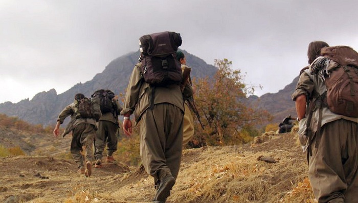 Türkiyədə PKK-ya ağır zərbə 