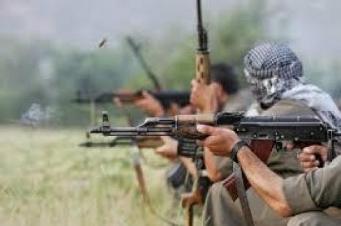 11 PKK terrorists killed in SE Turkey, Iraq's north