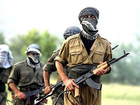 PKK: A wolf in sheep`s clothing - OPINION
