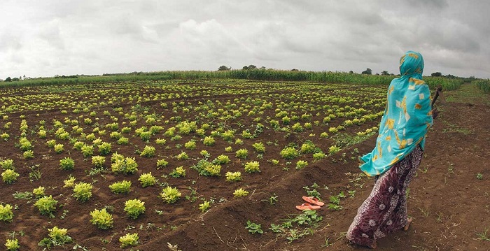 Will biggest danger from global warming be the change in diets?