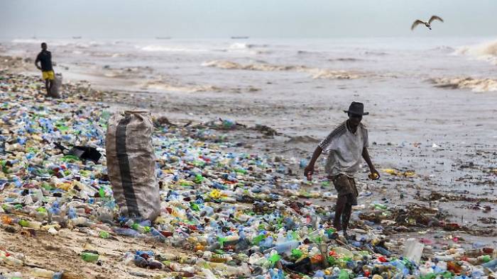 Plastikmüll tötet Zehntausende Meerestiere