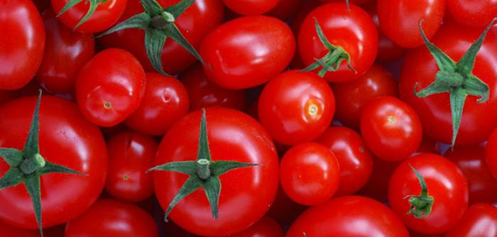 Ex-fumeur? Mangez des tomates pour réparer vos poumons