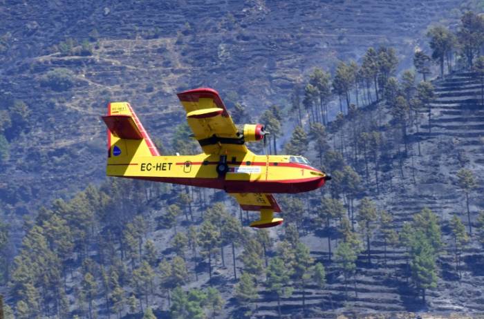 Le Portugal adopte une réforme des forêts