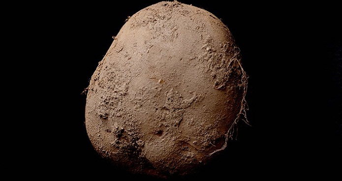 Potato photo sold for $1 million by Irish photographer