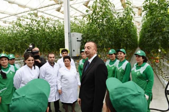 Azerbaijan's export opportunities to increase considerably - President Aliyev

