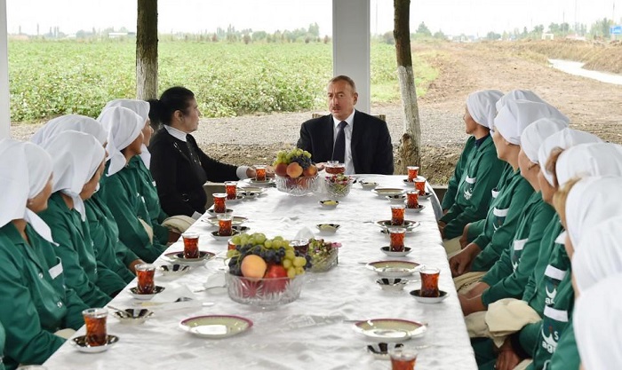 Ilham Aliyev views cotton plantation in Sabirabad - PHOTOS