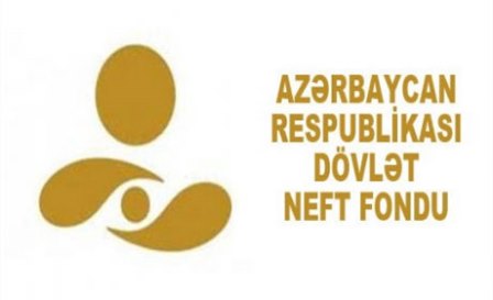 Dövlət Neft Fondunda yoxlama